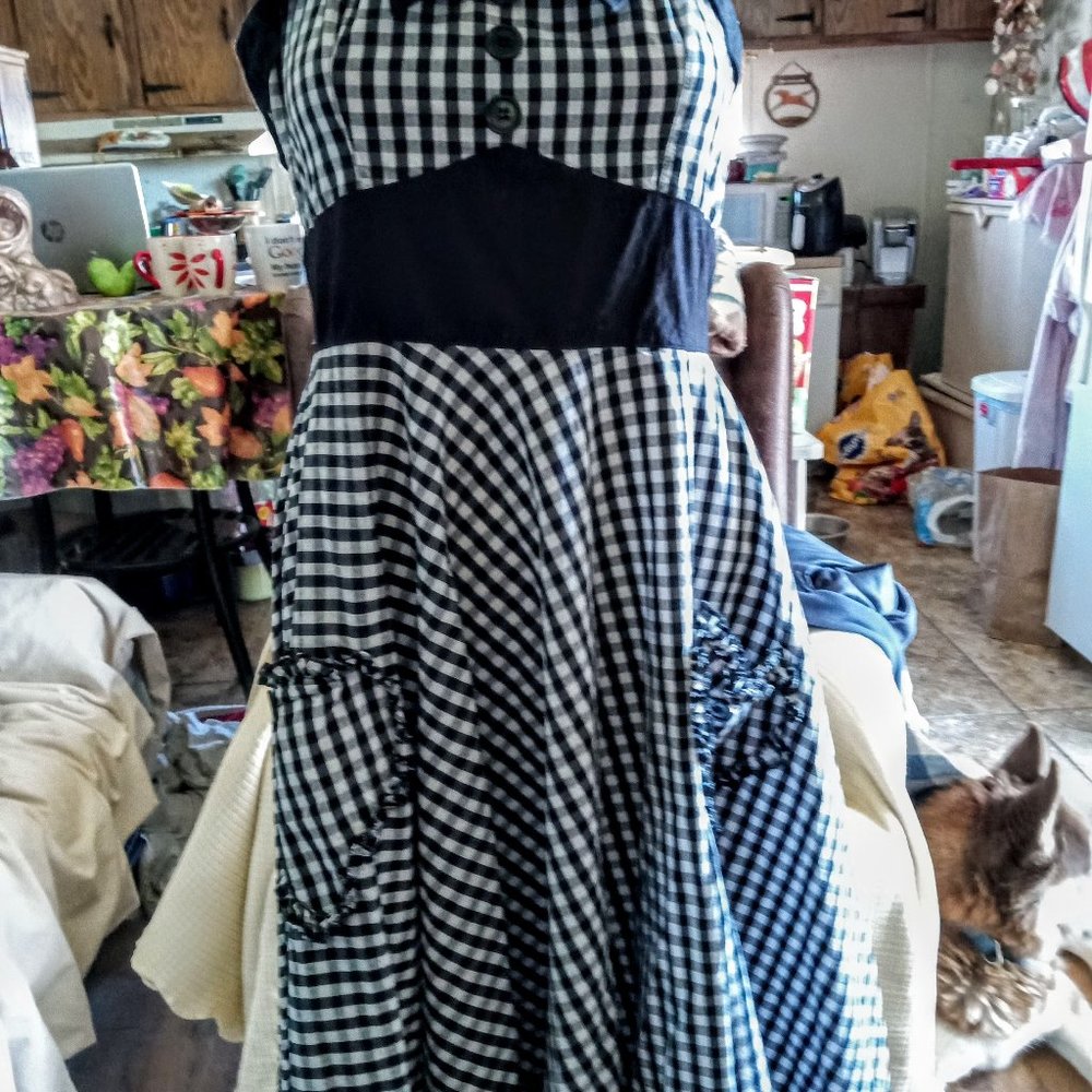 Sweet yet Sexy Hell Bunny and Vixen Dress